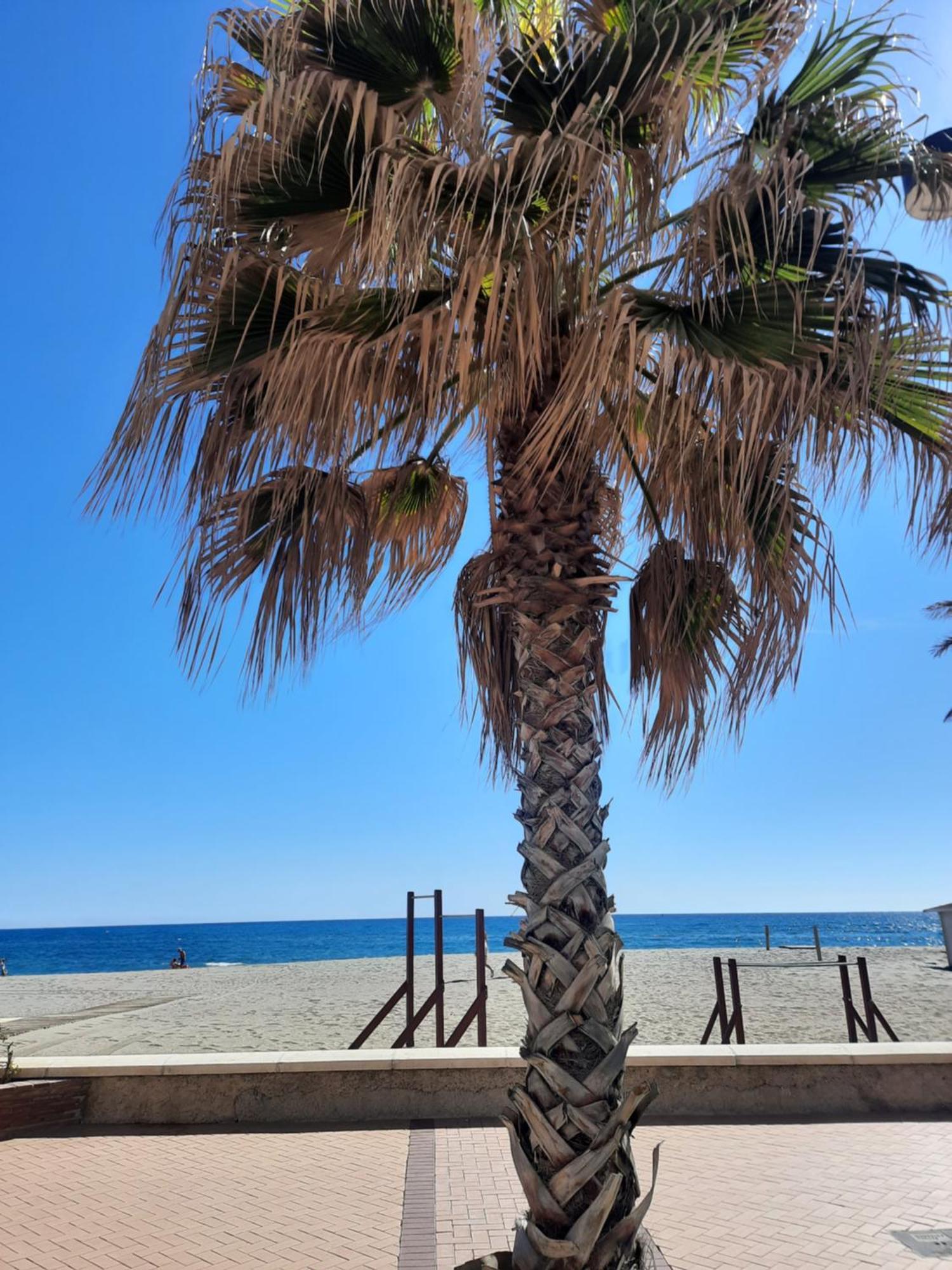 Fuengirola Apartment Carvajal Front Line Primera Linea Екстер'єр фото